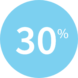 30 percentage icon